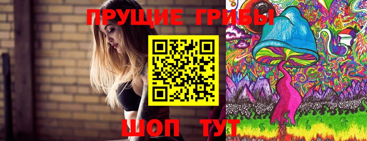 Владикавказ  цена   Вход с VPN  Псилоцибиновые грибы MAGIC MUSHROOMS 